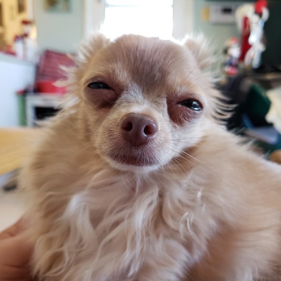 Meet your Posher, Debbie - Picture 4 of 4